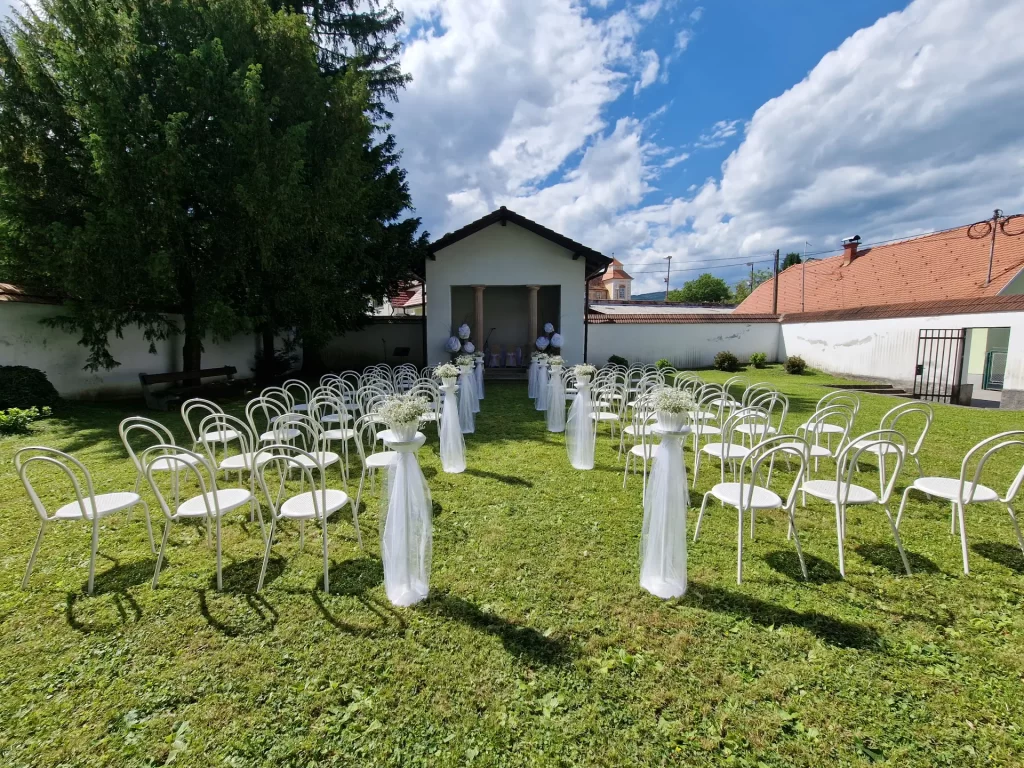organizacija porok 001